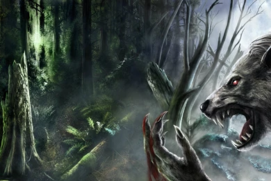 151 Werewolf HD Wallpapers