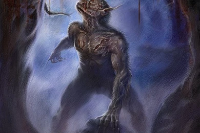 Werewolf Wallpaper Backgrounds