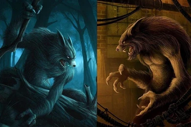 151 Werewolf HD Wallpapers