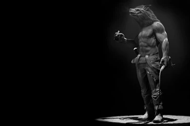 151 Werewolf HD Wallpapers