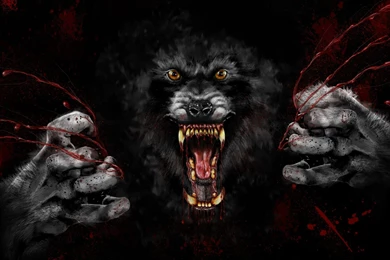 Werewolf Free Wallpapers Attachment 11135   Amazing Wallpaperz