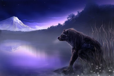 Werewolf Computer Wallpapers, Desktop Backgrounds