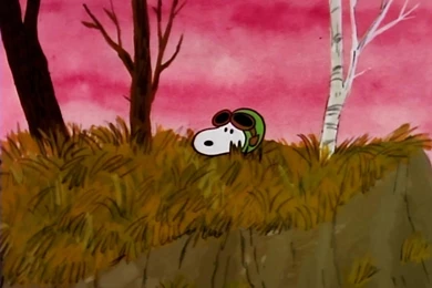 Snoopy   Peanuts Wallpapers (26798445)   Fanpop