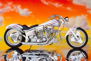 Motor: White Silver Custom Harley Davidson, Picture Nr. 14969