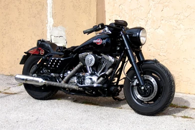 Custom Harley Davidson Pictures Gallery