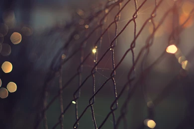 Bokeh Wallpapers Archives   Page 3 Of 40   WideWallpaper.info ...