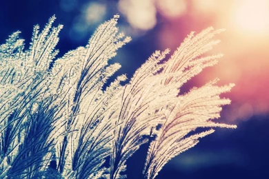 Bokeh Wallpapers Archives   Page 34 Of 40   WideWallpaper.info ...