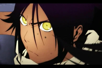 Bleach Yellow Eyes Shihouin Yoruichi