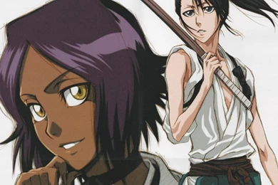 Bleach Kuchiki Byakuya Shihouin Yoruichi Wallpapers