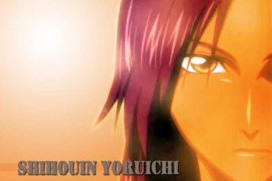 Yoruichi ***   Yoruichi Fanbase Wallpapers (36663758)   Fanpop