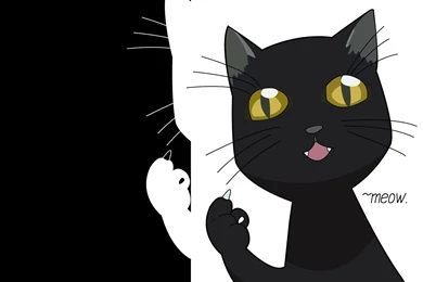 Yoruichi   Bleach Anime Wallpapers (6906155)   Fanpop