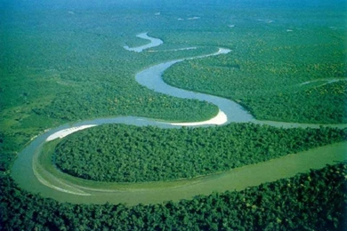 800x600px Amazon River 58.44 KB