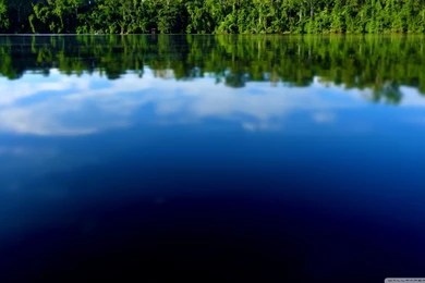 Amazon River Tilt Shift HD Desktop Wallpapers : Widescreen : High ...