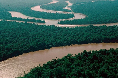Amazon River 3