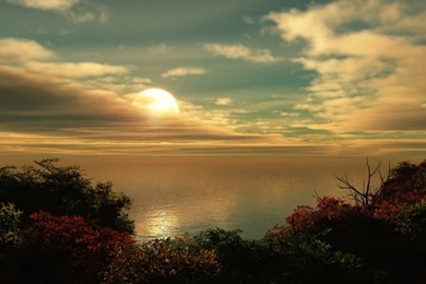 Travel 'green'  Destinations For Ecotourism