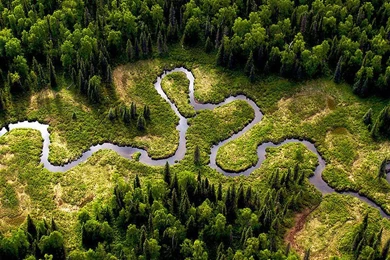 Wallpapers For Iphone Free Amazon River   HD Nature Pictures ...