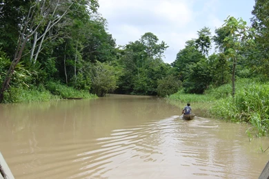 1034x768px Amazon River