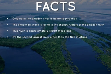 Amazon River By Bri Mccown