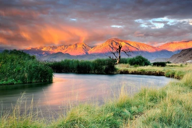 30 Amazon River Wallpapers Pictures