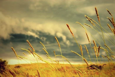 Desktop Wallpapers HD Vintage