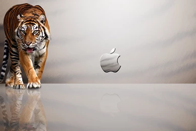 Download Apple Mac OS X Tiger Computer Wallpapers Free By Udhao.net