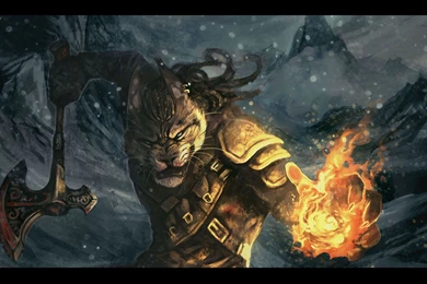 Skyrim Wallpapers Khajitt Warrior