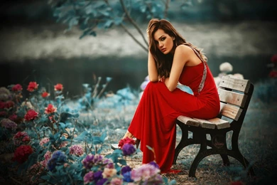 Best Photography Wallpapers Free Download: Computer Desktop ...