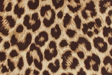 iPhone Wallpapers   Trendy Tjn