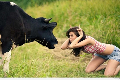 Funny Pictures For Facebook