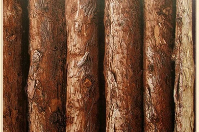 Wood Textured Vinyl 3D Wallpapers Forest Thick Embossed Tree Of ...