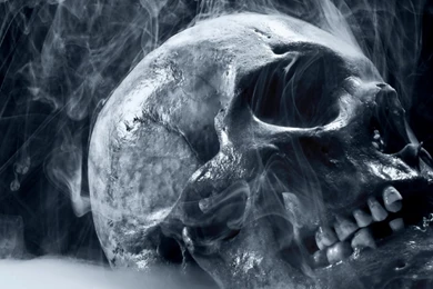 Page 3 Of Comments At Story Of My Life