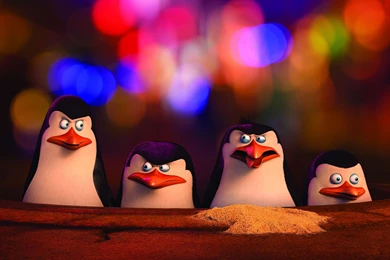 Penguins Of Madagascar Wallpaper, Movies / Animation: Penguins Of ...
