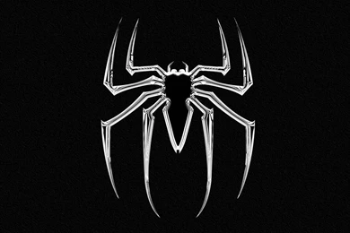 Spider Wallpapers   Wallpapers Cave