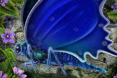 HD 3D & Abstract Wallpapers 51 – HdCoolWallpapers.Com