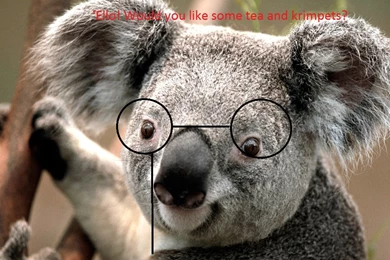 The Worst Editing Ever By Mmrjmusic On DeviantArt