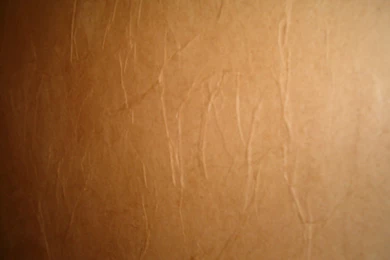 Redo Redux: Revisiting Past Projects: Paper Bag Wall