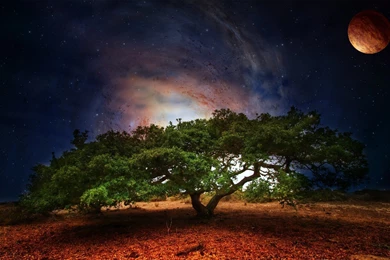 Creative Design, Tree Galaxy Planet Wallpapers