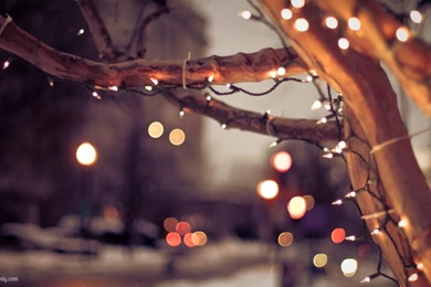 20 HD Merry Christmas Wallpapers 1080p Best HD Desktop Wallpapers ...