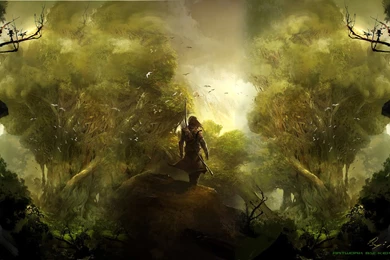 Wallpapers   Library Of Whispers   Guild Wars 2 Guru