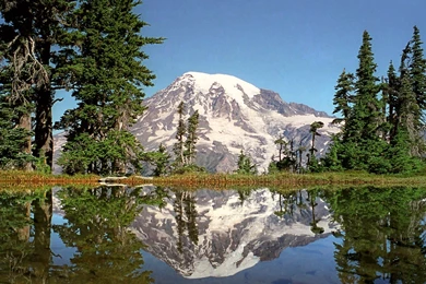 Winter Snow Wallpaper,snow Leopard Wallpapers,snow Wallpapers Free ...