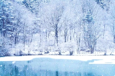 Winter Scene Wallpapers