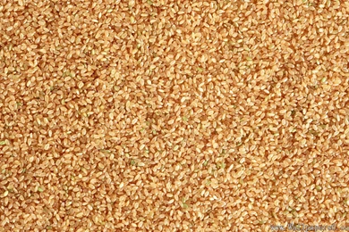 Food Backgrounds － Cate Wallpapers   Free Download Wallpapers ...