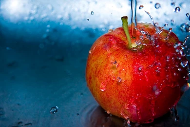 Culinary Physics: Food Wallpapers Download Free