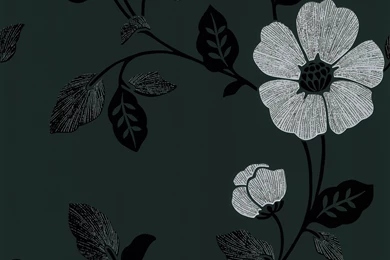 Poppy Modern Floral Wallpapers In Black By Brewster Home Fashions ...