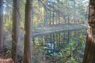 Seasonal PowerPoint Backgrounds