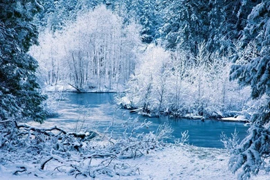 Nature Landscapes Winter Snow Frost Rivers Shore Trees Forest ...