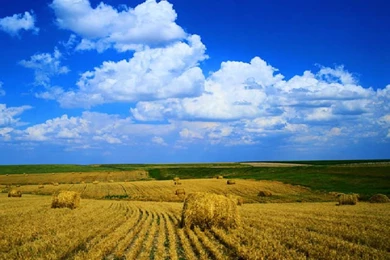 Free Seasonal Backgrounds And Wallpapers