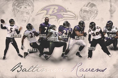 Baltimore Ravens Wallpapers 2014