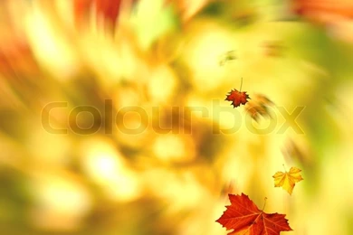 Autumnal Swirl, Abstract Seasonal Backgrounds