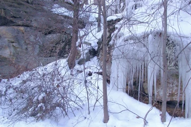 Seasonal Backgrounds